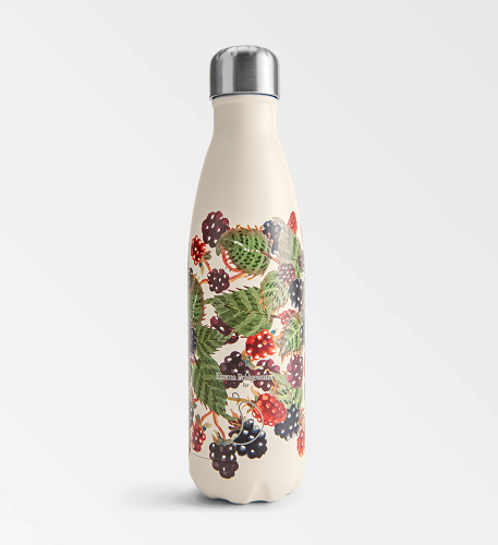 Chilly's Bottle 500ml Blackberry